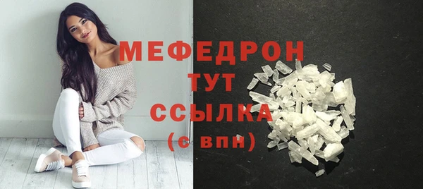 индика Бородино