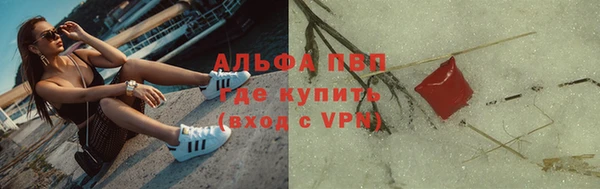 индика Бородино