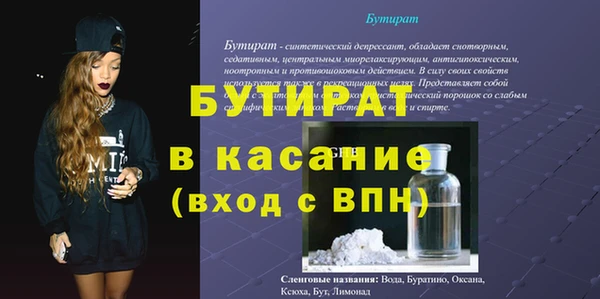 индика Бородино