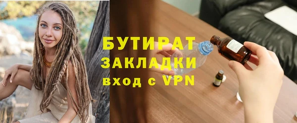 индика Бородино