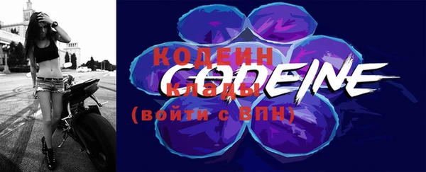 индика Бородино