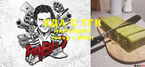 индика Бородино