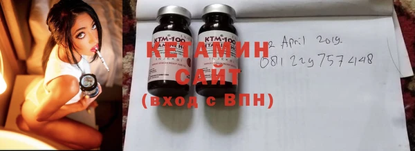 индика Бородино