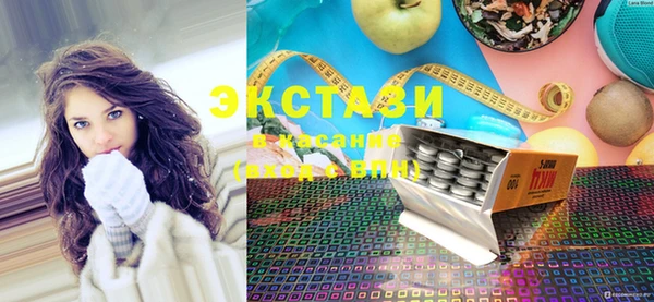 индика Бородино
