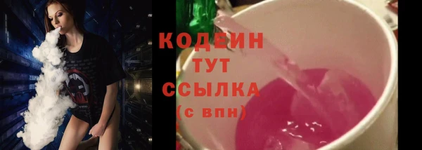 индика Бородино