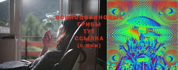 гашик Бугульма