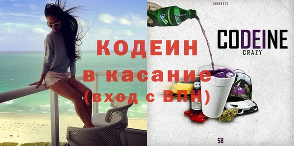 индика Бородино