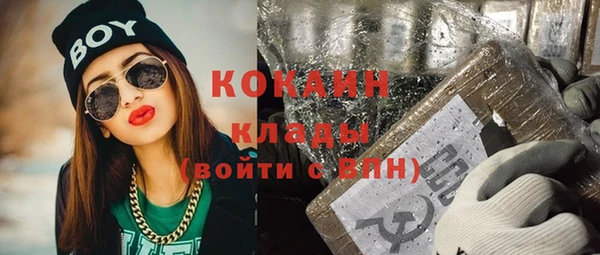 индика Бородино