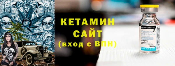 индика Бородино
