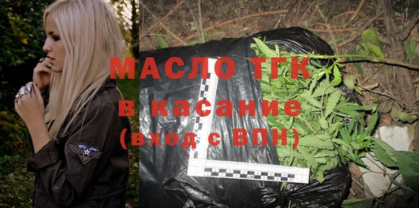 индика Бородино
