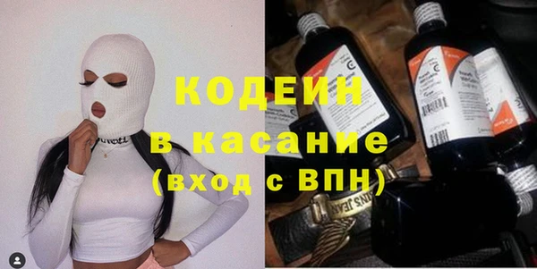 индика Бородино