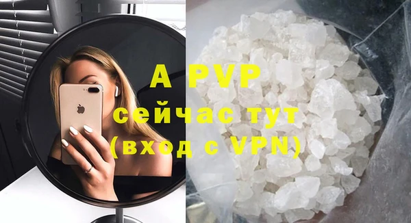 индика Бородино