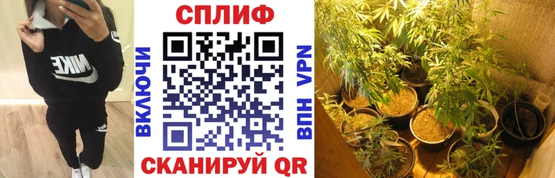 хочу   Кущёвская  Канабис марихуана 